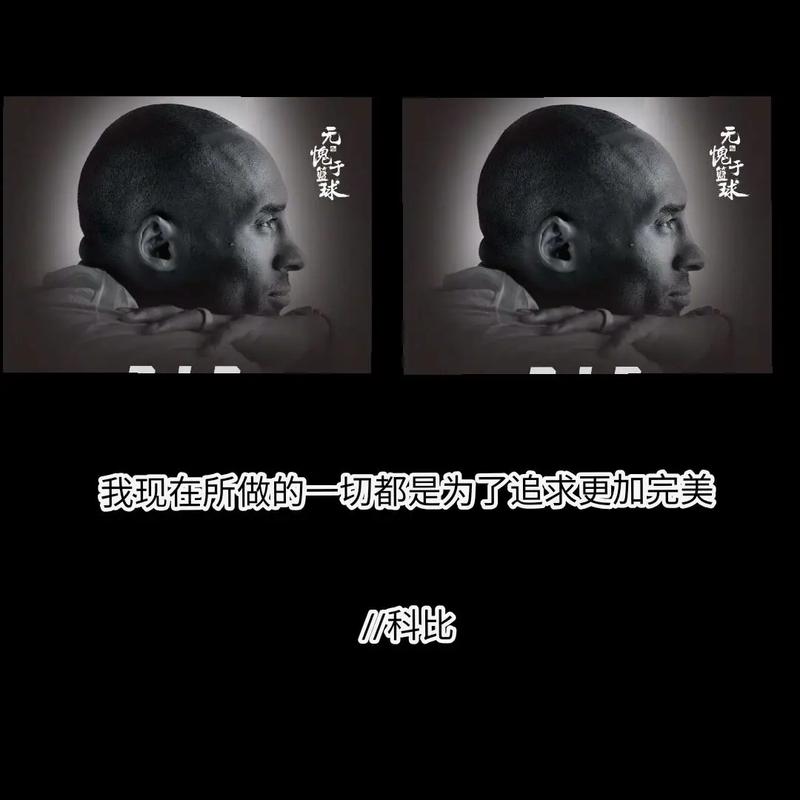 铁林：我曾告诉马克西“你不如科比·怀特” 我想这激励了他