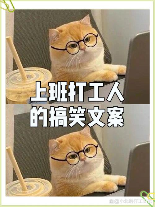 太阳老板：没有人可以说我不在乎 摆烂不是我的DNA