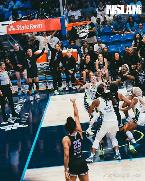 米奇：福克斯是极具冲击力的后卫 串联队友做得很棒防守也有进步